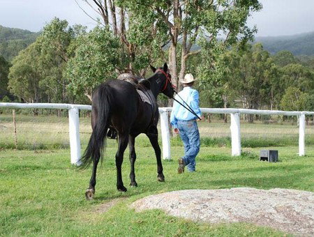 Cherrabah Resort - Foster Accommodation 2