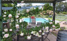 Valley View Motel Murrurundi - Murrurundi - Foster Accommodation 2