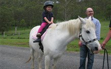 Mansfield Cottage Barrington Tops Accommodation - Foster Accommodation 0