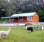 Moorallie Cottage Farm Stay - Foster Accommodation