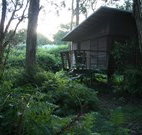 Mount Seaview Resort - Foster Accommodation