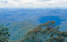 Lyrebird Studio - Foster Accommodation 2