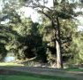 Rustic Caravan Park - Foster Accommodation