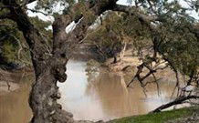 Valley View Cottage Hunter Valley - Foster Accommodation 0