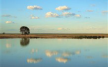 Valley View Cottage Hunter Valley - Foster Accommodation 4