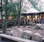 Williams River Holiday Park - Foster Accommodation