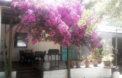 Pass And Pause Holiday Bed And Breakfast Accommodation - Foster Accommodation 3