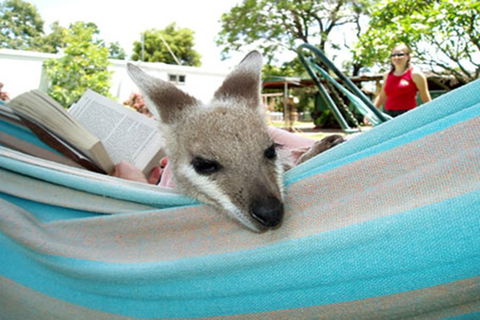 Myella Farmstay - Baralaba - Foster Accommodation 6