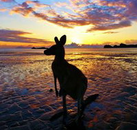 Cape Hillsborough Nature Tourist Park - Foster Accommodation