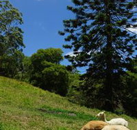 Wattle Gully Retreat - Foster Accommodation