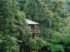 North Maleny QLD Foster Accommodation