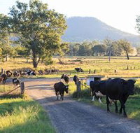 Tommerups Dairy Farmstay - Foster Accommodation