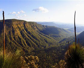 O'Reilly's Rainforest Retreat - Foster Accommodation 3