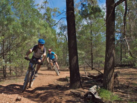 Back Yamma State Forest - Foster Accommodation 1