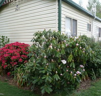 Jenolan Caravan Park - Foster Accommodation