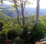 Mt Tamborine Motel - Foster Accommodation