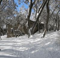 Akla Ski Lodge - Foster Accommodation