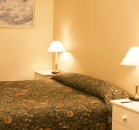 Best Western Abel Tasman Airport Motor Inn - Foster Accommodation