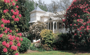 Anabel's of Scottsdale - Foster Accommodation