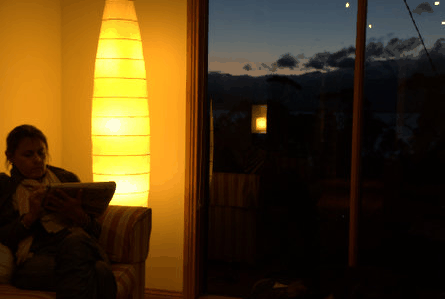 The Tree House - Foster Accommodation 2