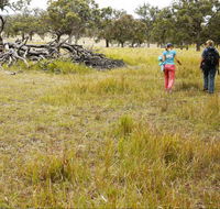Carnarvon National Park camping - Foster Accommodation