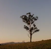Faulls Ridge Winery - Foster Accommodation