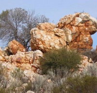 Credo Homestead Camp at Credo Conservation Park - Foster Accommodation