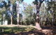 Workmans Pool Camp At St John Brook National Park - thumb 0
