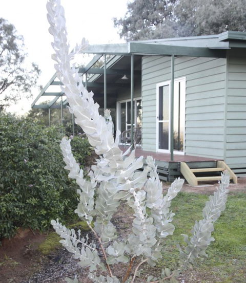 Kurringai Cottage - Foster Accommodation 2