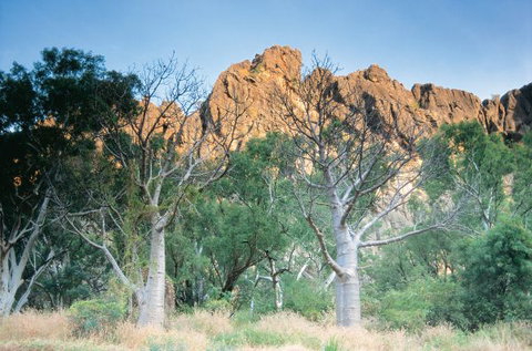 Windjana Gorge Camp At Windjana Gorge National Park - Foster Accommodation 1