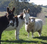 Avaleigh Elms Farmstay - Foster Accommodation