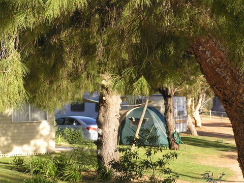 Barmera North Lake Caravan Park - Foster Accommodation 0