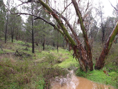 Beetaloo Grove - Foster Accommodation 2