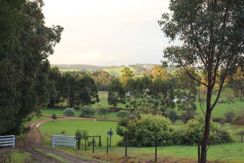 Blue House Bed And Breakfast - Foster Accommodation 1