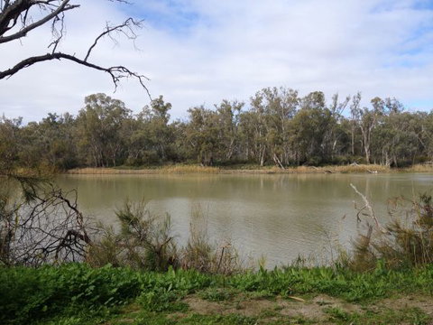 Chowilla Station Shearer's Quarters Accommodation - Foster Accommodation 1