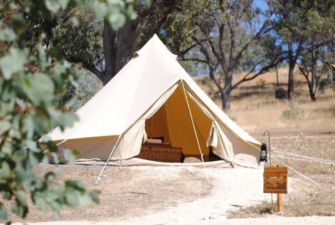 Cosy Tents - Foster Accommodation 0