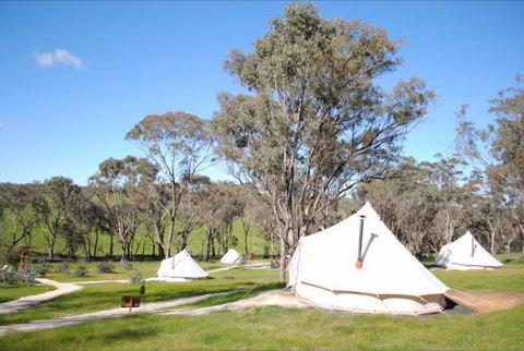 Cosy Tents - Foster Accommodation 5