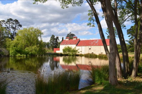 Hawthorn Lodge - Foster Accommodation 5