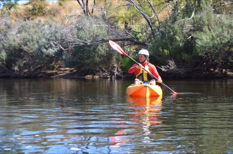 Hawthorn Lodge - Foster Accommodation 8