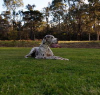 Hunter Valley Retreat - Foster Accommodation