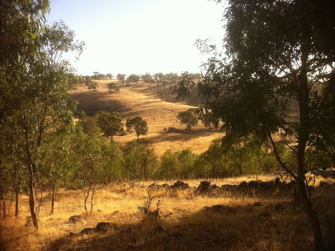 Jonathan Art Centre - Jarramarrumba House - Foster Accommodation 6