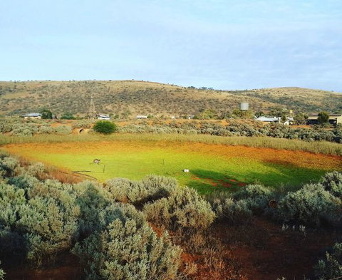 Mount Ive - Foster Accommodation 0