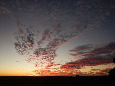 The Old Drik Drik Schoolhouse Retreat - Foster Accommodation 7
