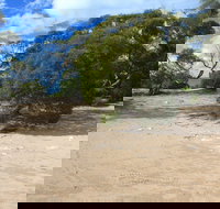 Acraman Creek Conservation Park Campgrounds - Foster Accommodation