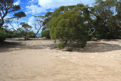 Acraman Creek Conservation Park Campgrounds - Foster Accommodation 0