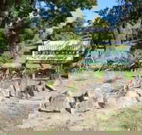 Adelong Golden Gully Caravan Park - Foster Accommodation
