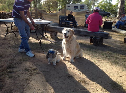 Cunnamulla Tourist Park - Foster Accommodation 4