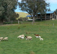Gaddleen Grove Cottages - Foster Accommodation