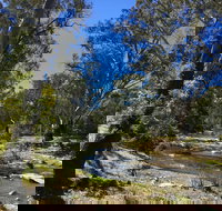 Highfield Farm and Woodland Bush Campsites - Foster Accommodation