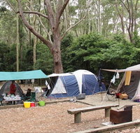 Pebbly Beach campground - Yuraygir National Park - Foster Accommodation